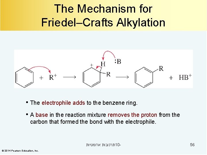 The Mechanism for Friedel–Crafts Alkylation • The electrophile adds to the benzene ring. •
