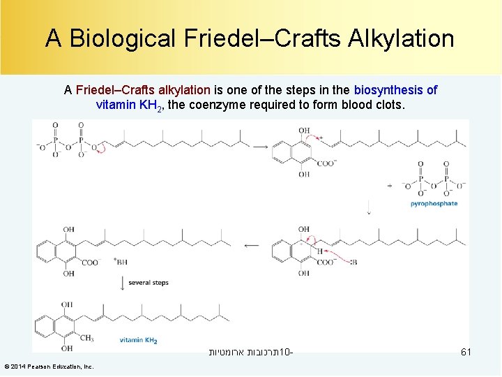 A Biological Friedel–Crafts Alkylation A Friedel–Crafts alkylation is one of the steps in the