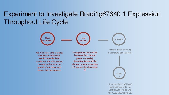Experiment to Investigate Bradi 1 g 67840. 1 Expression Throughout Life Cycle Plant Preparation