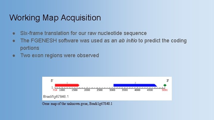 Working Map Acquisition ● Six-frame translation for our raw nucleotide sequence ● The FGENESH