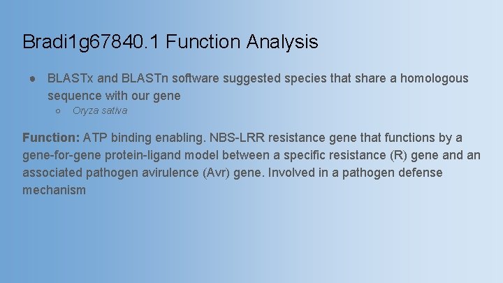 Bradi 1 g 67840. 1 Function Analysis ● BLASTx and BLASTn software suggested species