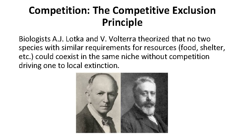 Competition: The Competitive Exclusion Principle Biologists A. J. Lotka and V. Volterra theorized that