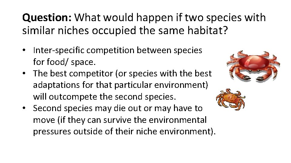 Question: What would happen if two species with similar niches occupied the same habitat?