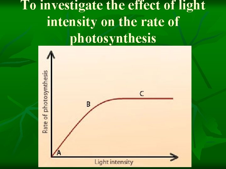 To investigate the effect of light intensity on the rate of photosynthesis 