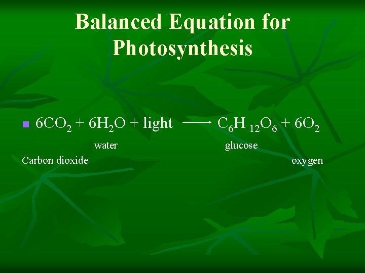 Balanced Equation for Photosynthesis n 6 CO 2 + 6 H 2 O +