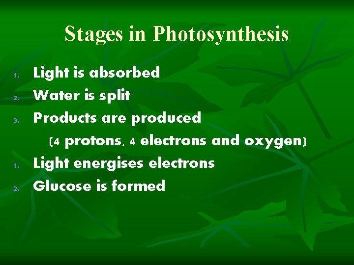 Stages in Photosynthesis 1. 2. 3. 1. 2. Light is absorbed Water is split