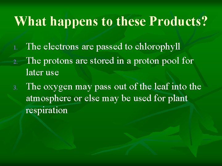 What happens to these Products? 1. 2. 3. The electrons are passed to chlorophyll