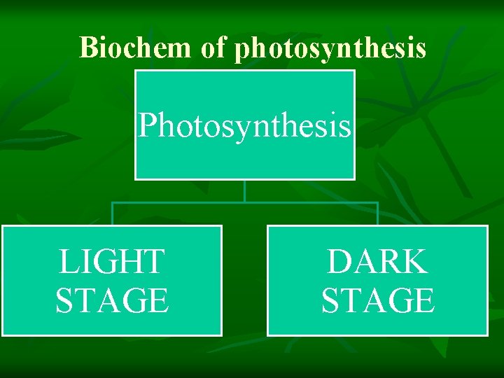 Biochem of photosynthesis Photosynthesis LIGHT STAGE DARK STAGE 