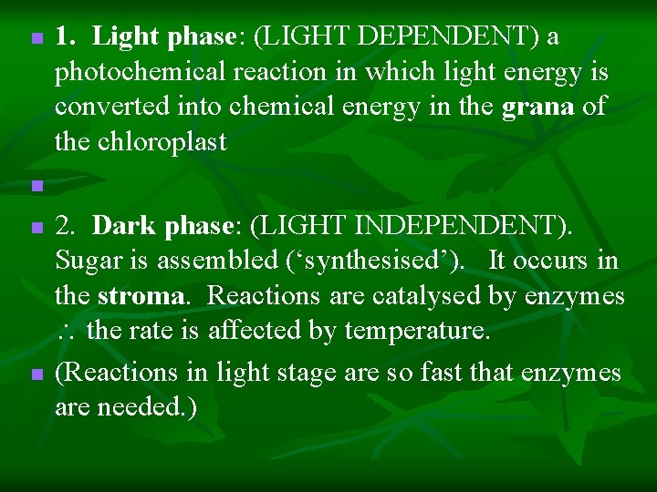 n 1. Light phase: (LIGHT DEPENDENT) a photochemical reaction in which light energy is