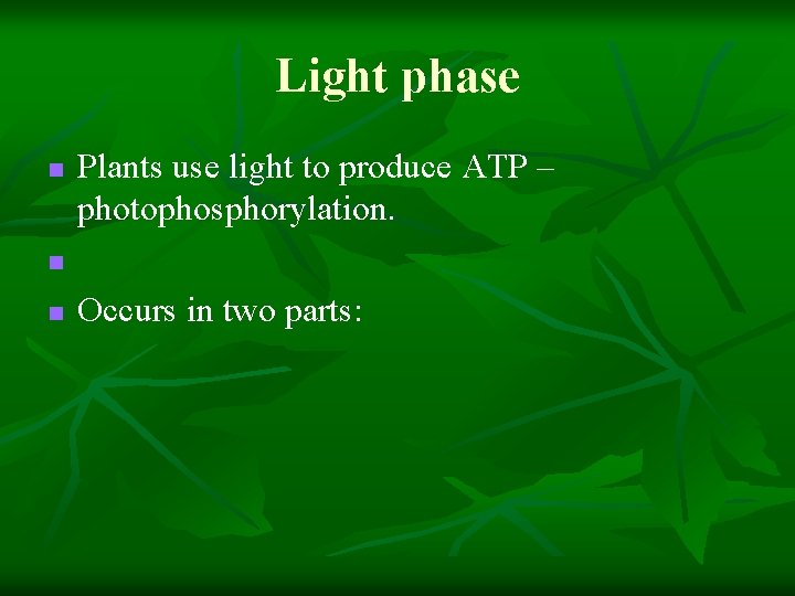 Light phase n Plants use light to produce ATP – photophosphorylation. n n Occurs
