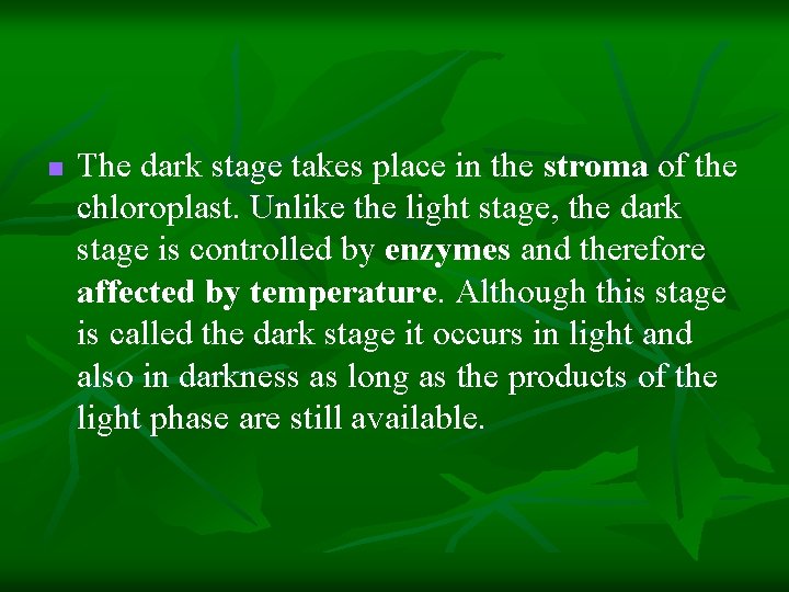n The dark stage takes place in the stroma of the chloroplast. Unlike the