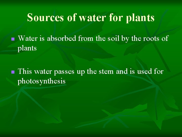 Sources of water for plants n n Water is absorbed from the soil by