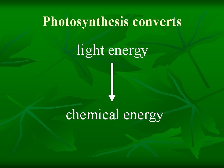 Photosynthesis converts light energy chemical energy 