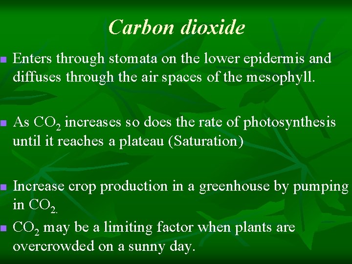 n n Carbon dioxide Enters through stomata on the lower epidermis and diffuses through