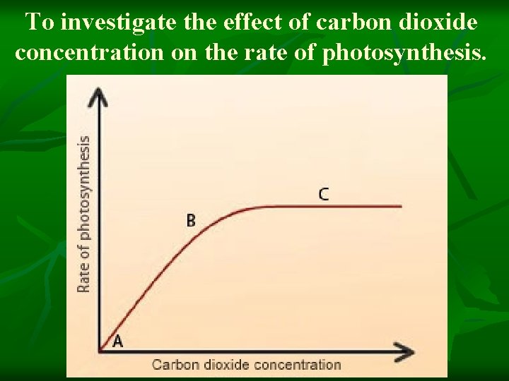 To investigate the effect of carbon dioxide concentration on the rate of photosynthesis. 