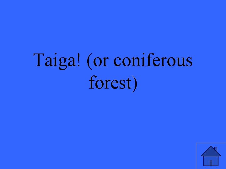 Taiga! (or coniferous forest) 