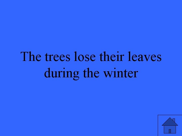 The trees lose their leaves during the winter 