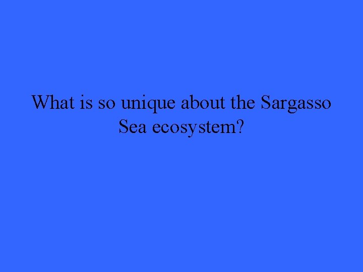 What is so unique about the Sargasso Sea ecosystem? 