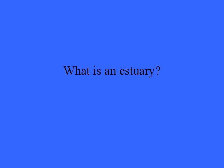 What is an estuary? 