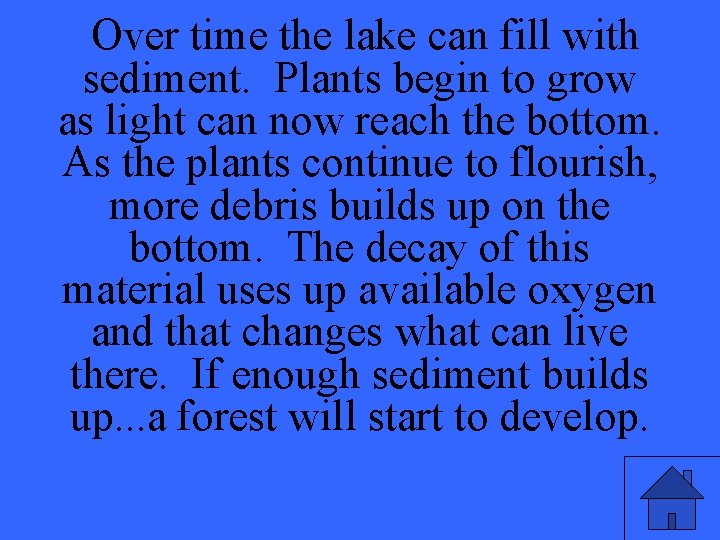 Over time the lake can fill with sediment. Plants begin to grow as light