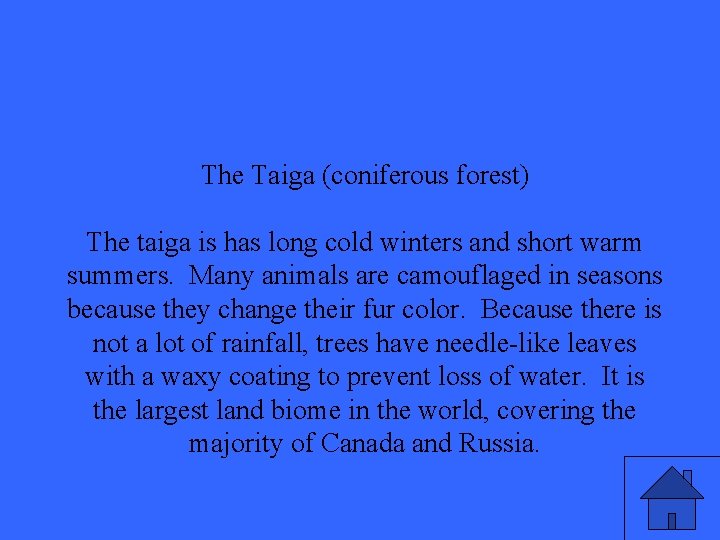 The Taiga (coniferous forest) The taiga is has long cold winters and short warm