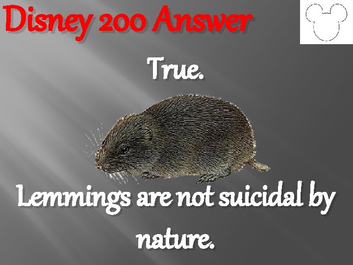 Disney 200 Answer True. Lemmings are not suicidal by nature. 