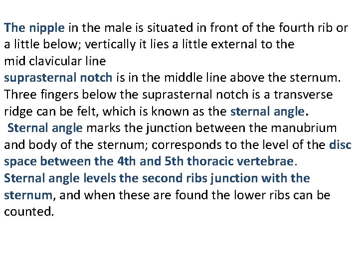 The nipple in the male is situated in front of the fourth rib or