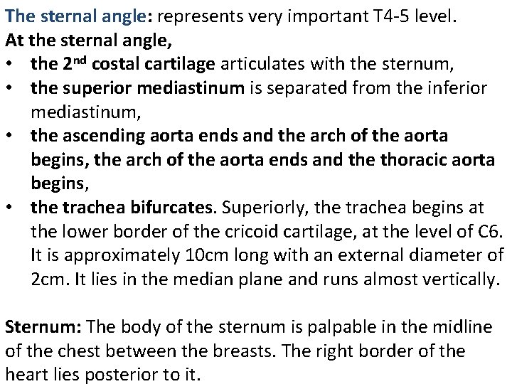 The sternal angle: represents very important T 4 -5 level. At the sternal angle,