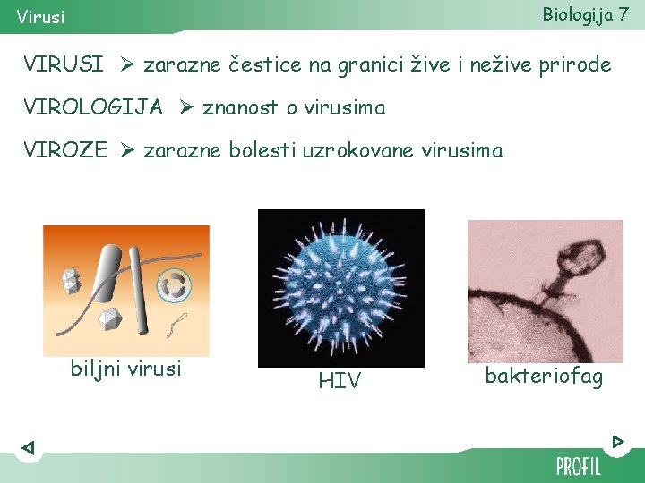 Biologija 7 Virusi VIRUSI Ø zarazne čestice na granici žive i nežive prirode VIROLOGIJA