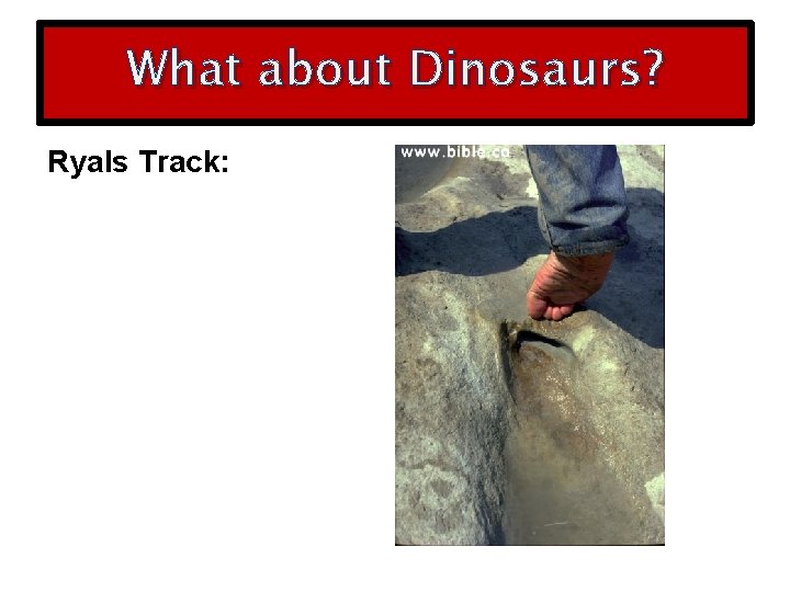 What about Dinosaurs? Ryals Track: 