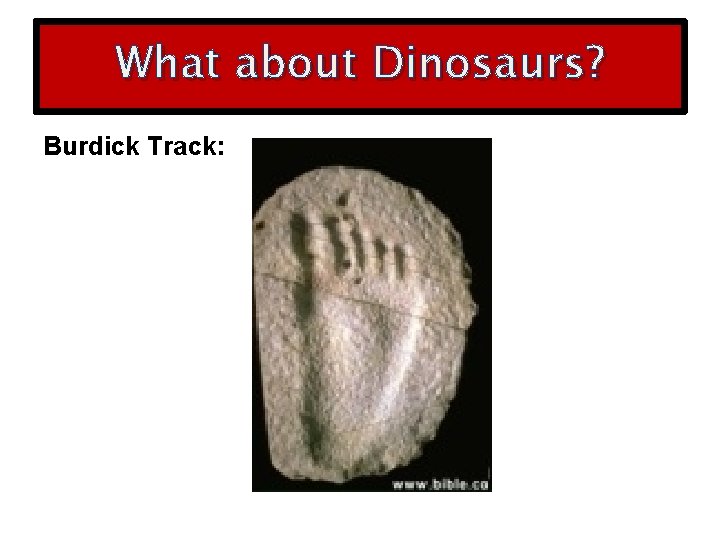 What about Dinosaurs? Burdick Track: 