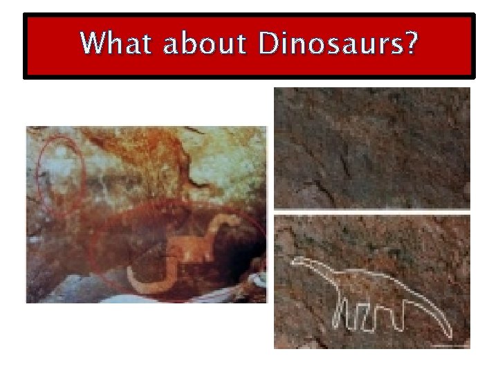 What about Dinosaurs? 
