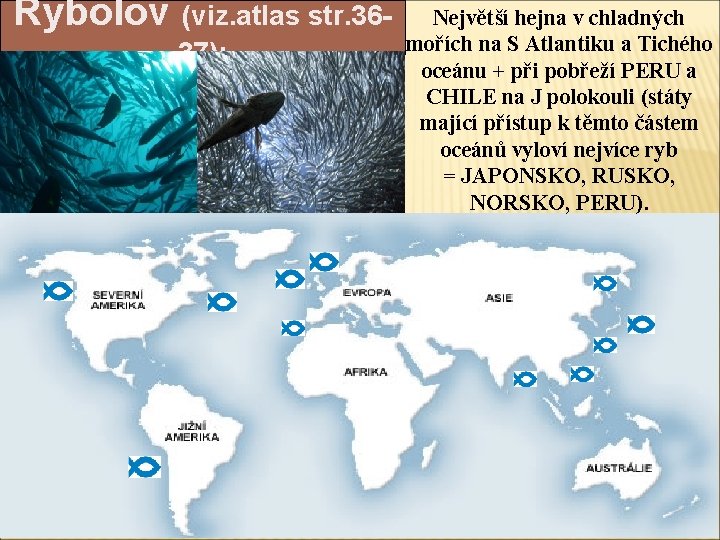 Rybolov (viz. atlas str. 3637): Největší hejna v chladných mořích na S Atlantiku a
