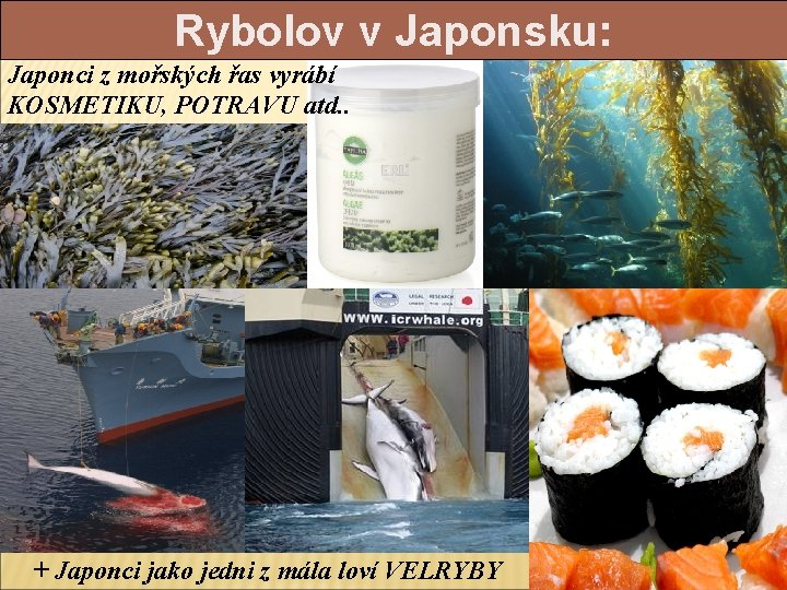 Rybolov v Japonsku: Japonci z mořských řas vyrábí KOSMETIKU, POTRAVU atd. . + Japonci