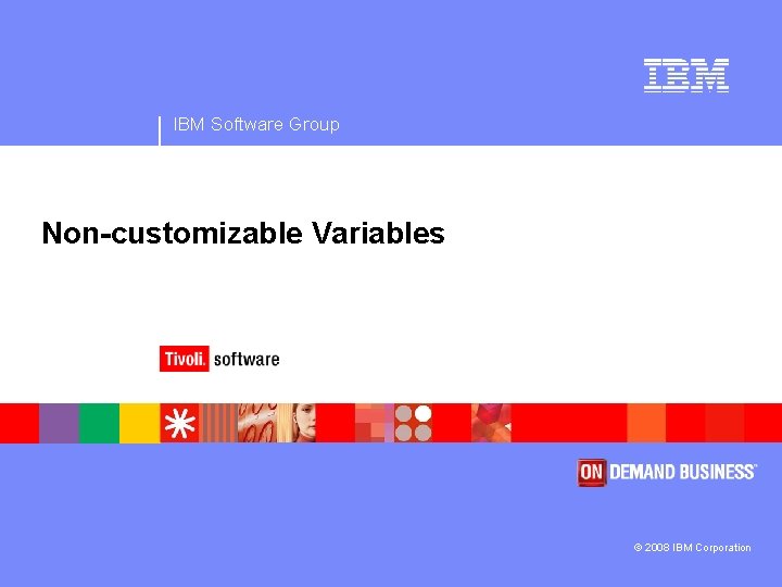 IBM Software Group Non-customizable Variables © 2008 IBM Corporation 