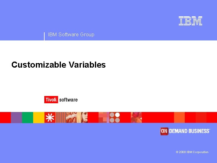 IBM Software Group Customizable Variables © 2008 IBM Corporation 