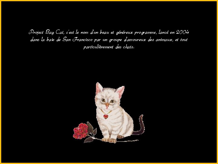 Project Bay Cat, c'est le nom d'un beau et généreux programme, lancé en 2004