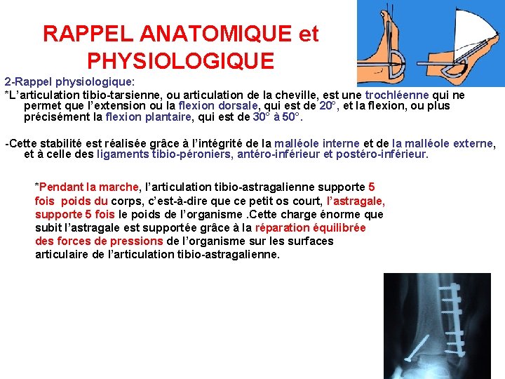 RAPPEL ANATOMIQUE et PHYSIOLOGIQUE 2 -Rappel physiologique: *L’articulation tibio-tarsienne, ou articulation de la cheville,