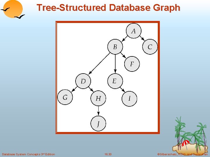 Tree-Structured Database Graph Database System Concepts 3 rd Edition 16. 30 ©Silberschatz, Korth and