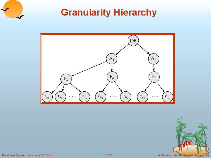 Granularity Hierarchy Database System Concepts 3 rd Edition 16. 35 ©Silberschatz, Korth and Sudarshan