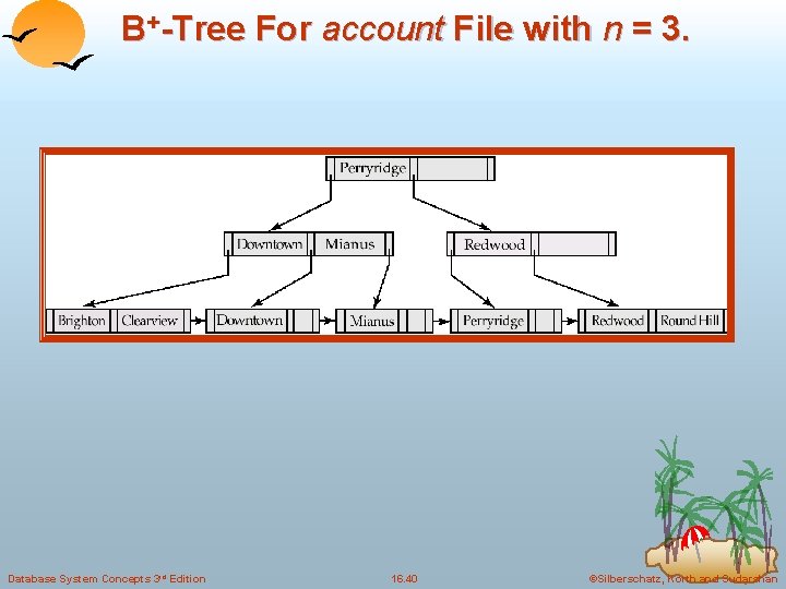 B+-Tree For account File with n = 3. Database System Concepts 3 rd Edition