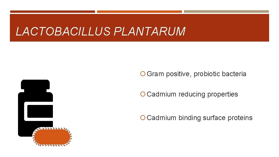 LACTOBACILLUS PLANTARUM Gram positive, probiotic bacteria Cadmium reducing properties Cadmium binding surface proteins 