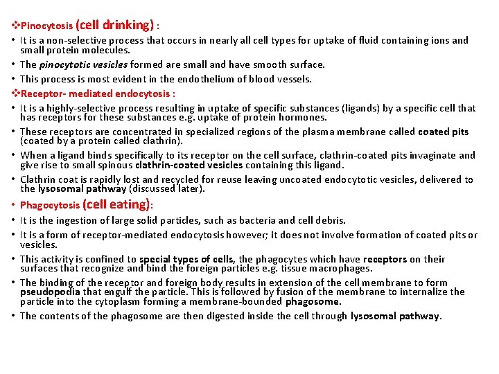 v. Pinocytosis (cell drinking) : • It is a non-selective process that occurs in
