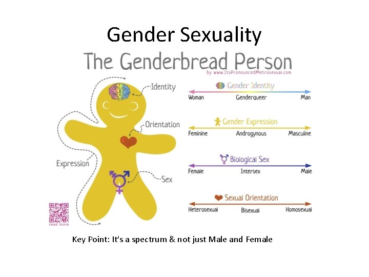 Gender Sexuality Key Point: It’s a spectrum & not just Male and Female 