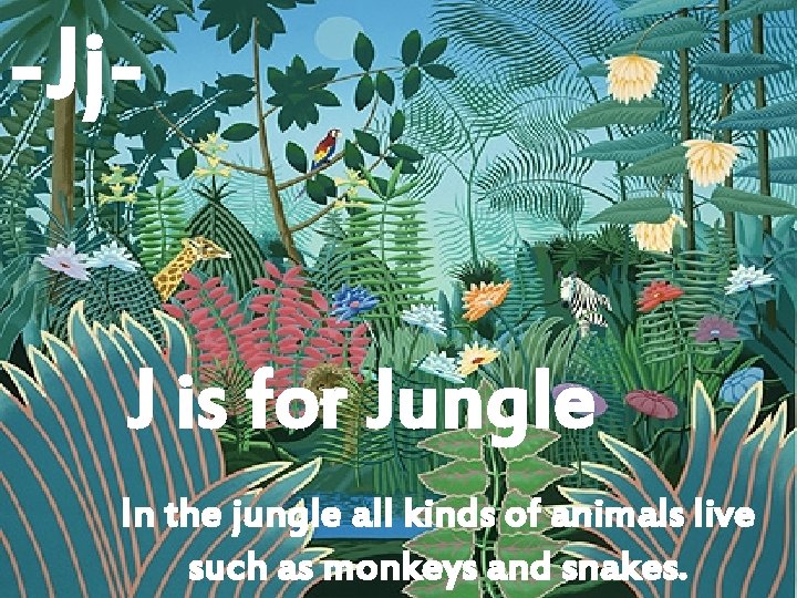 -Jj--Ii. J is for Jungle In the jungle all kinds of animals live such