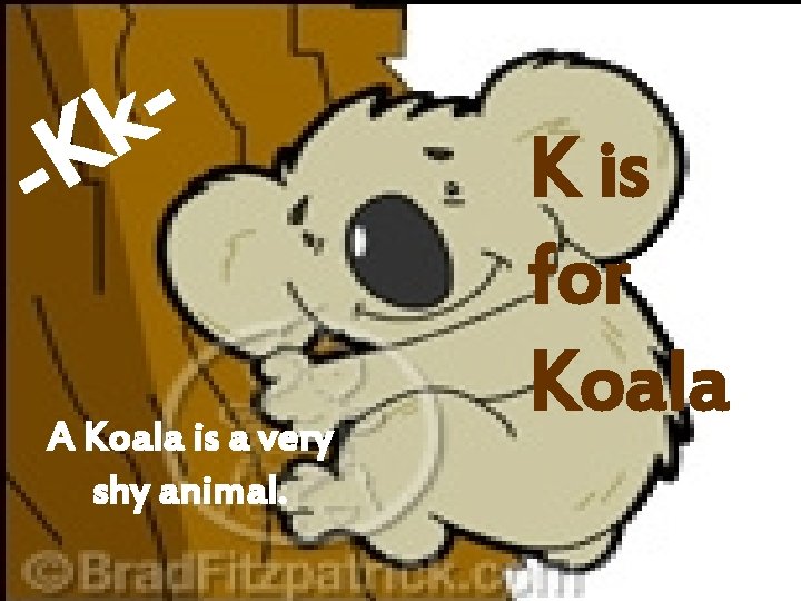 k K - A Koala is a very shy animal. K is for Koala