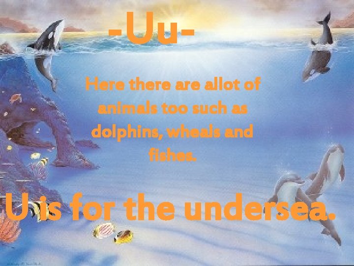 -Uu. Here there allot of animals too such as dolphins, wheals and fishes. U