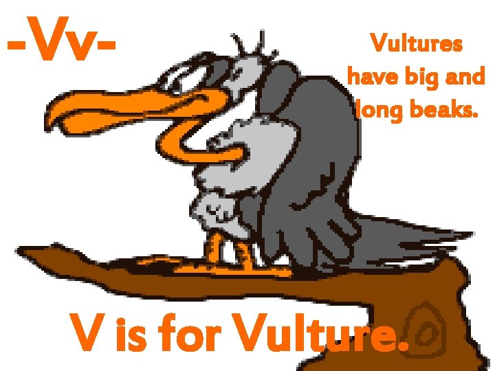 -Vv- Vultures have big and long beaks. V is for Vulture. 