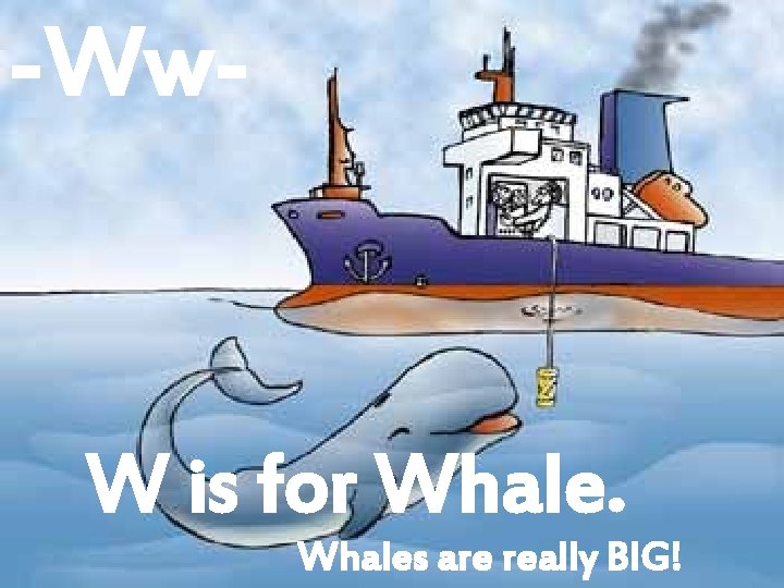 -Ww- W is for Whales are really BIG! 