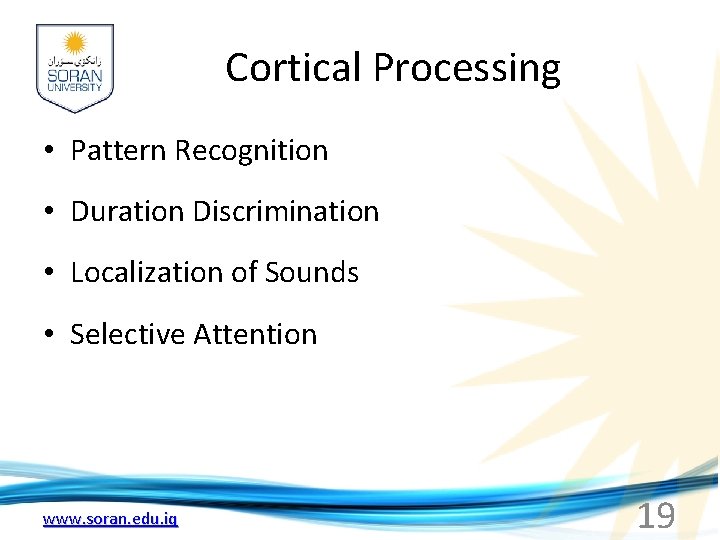 Cortical Processing • Pattern Recognition • Duration Discrimination • Localization of Sounds • Selective